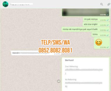 testimoni jual mistar lompat galah