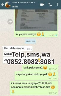 testimoni supplier alat atletik